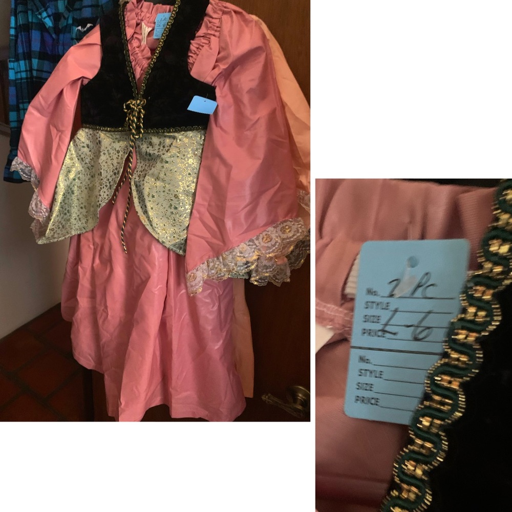 Renaissance Princess Costume - Girl’s size 6/L